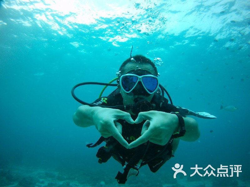 小猫钓鱼开船版最新版下载